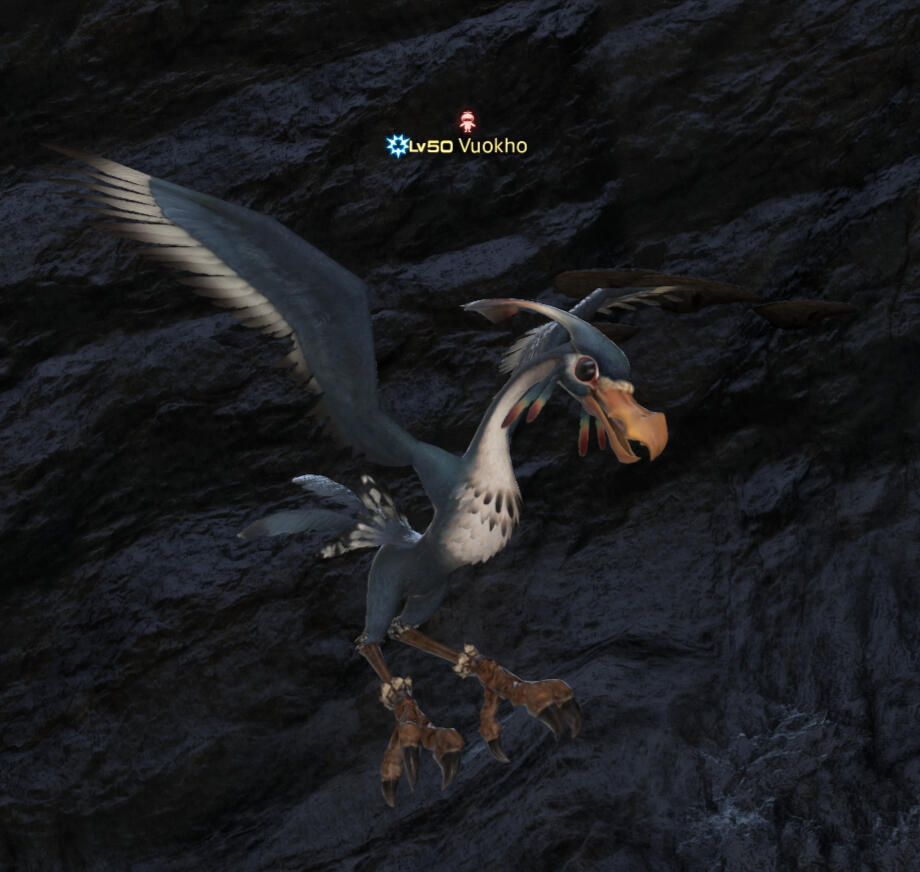 A Vuokho B-Rank hunt mark with a Hunt Icon above its name